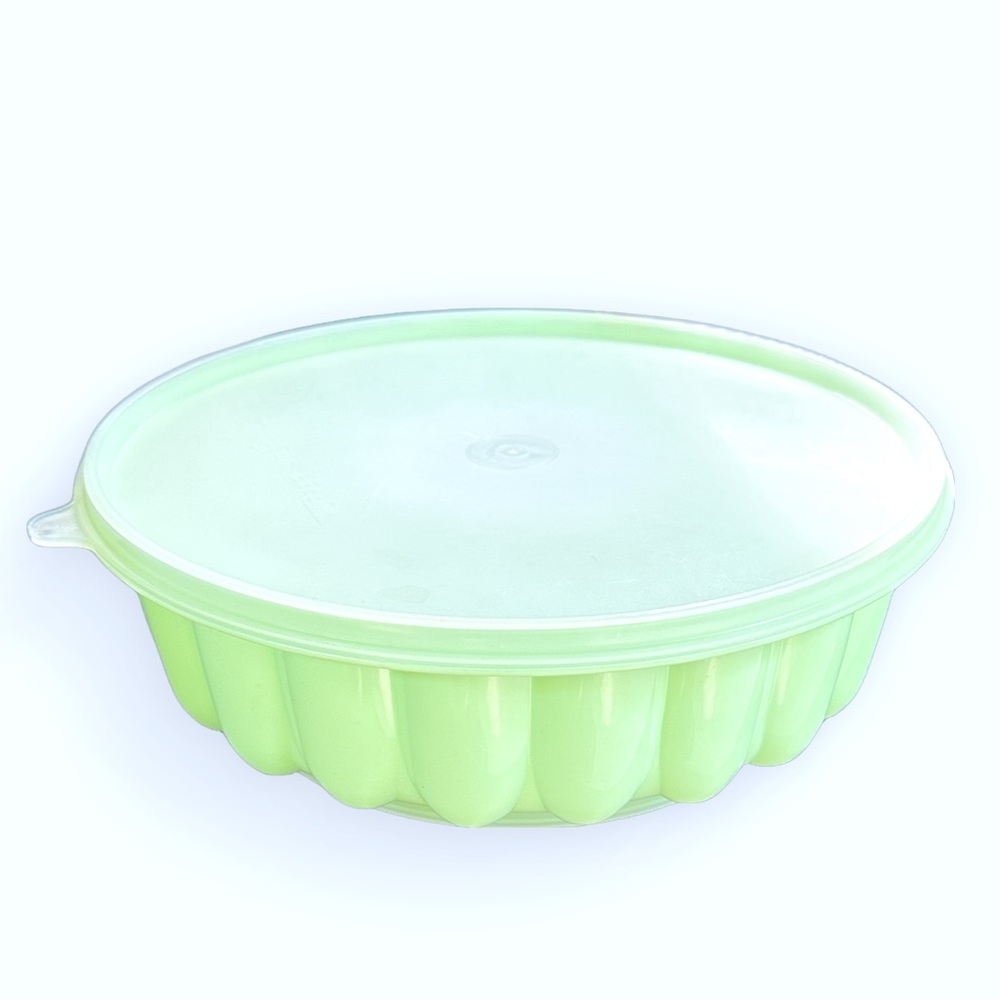Nostalgic Summertime Picnic Potluck Vintage Tupperware Seafoam Green Jello Mold